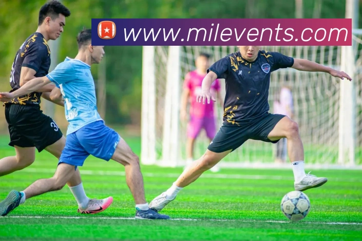 米乐m6APP 封面图